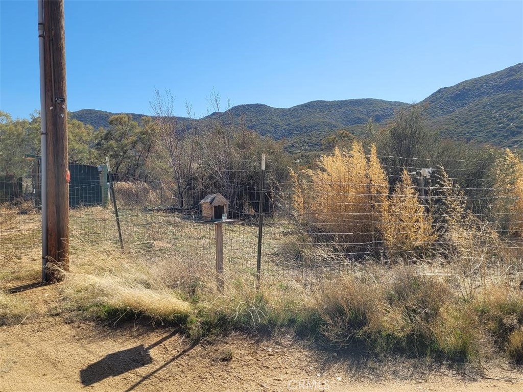 MLS #SW25064012 image #8