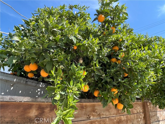 MLS #SW25068673 image #16