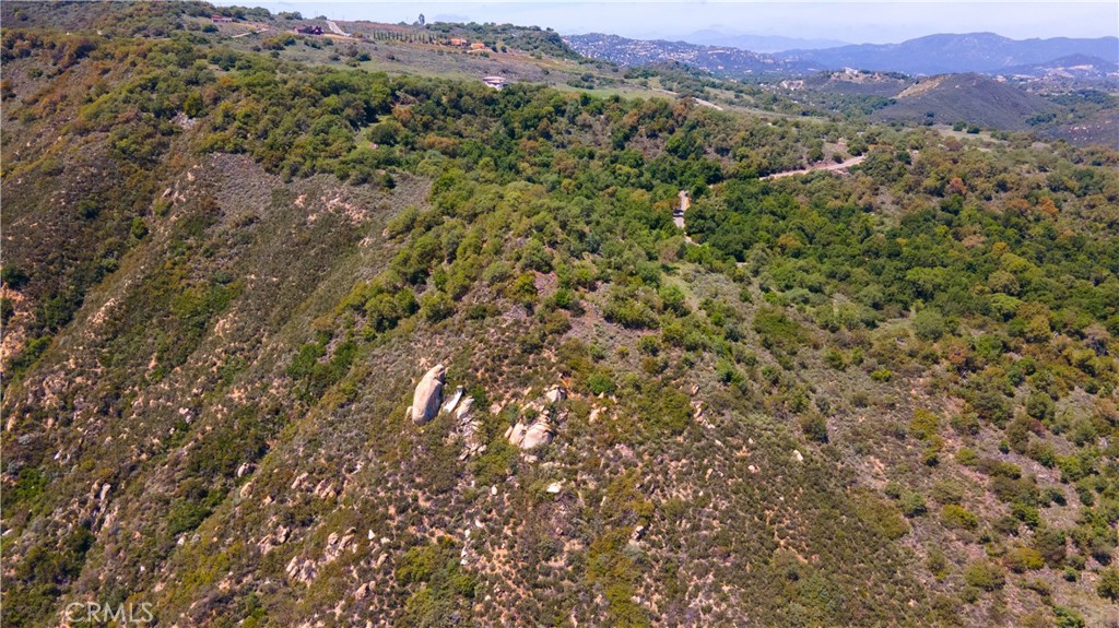 MLS #SW25086020 image #4