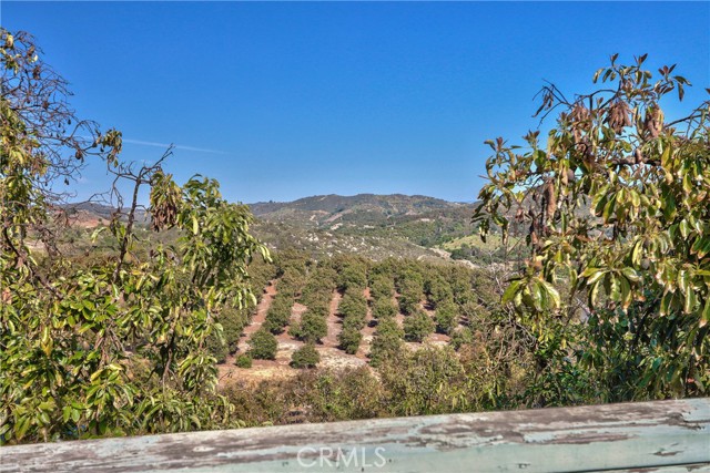 MLS #SW25089227 image #37