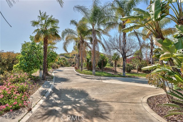 MLS #SW25089227 image #40