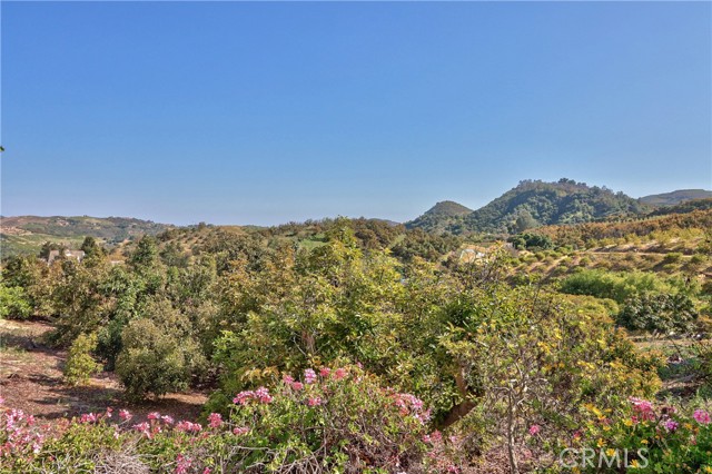 MLS #SW25089227 image #41