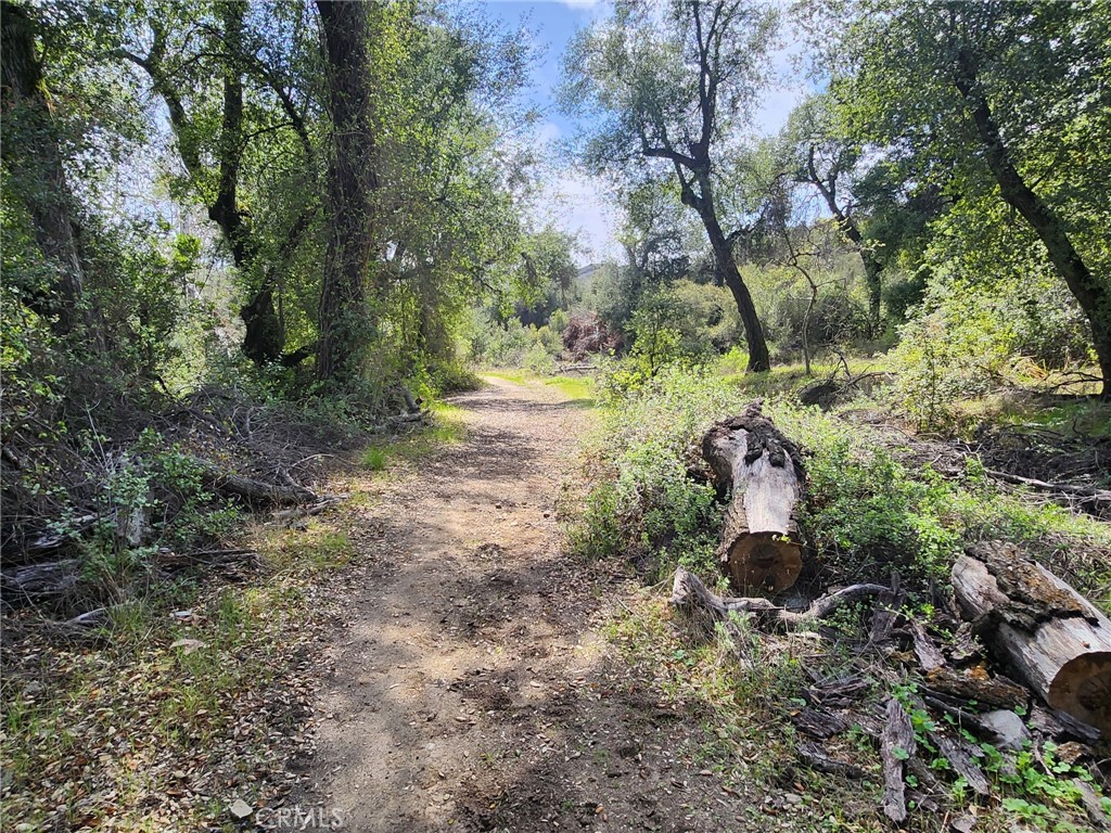 MLS #SW25091206 image #1