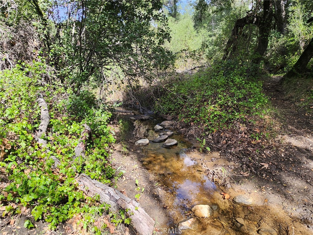 MLS #SW25091206 image #2