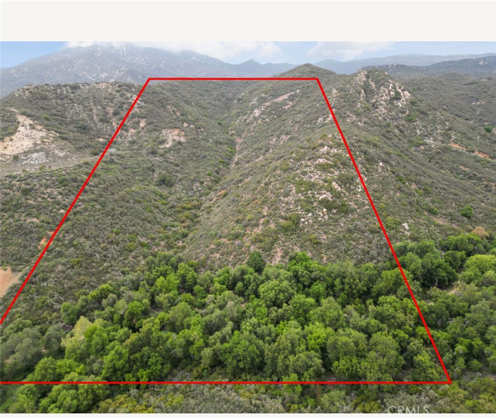 MLS #SW25091206 image #4