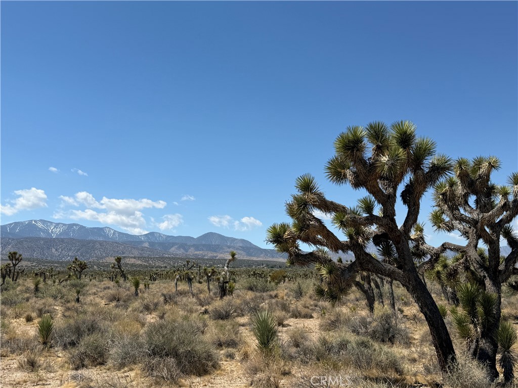 MLS #SW25098683 image #1