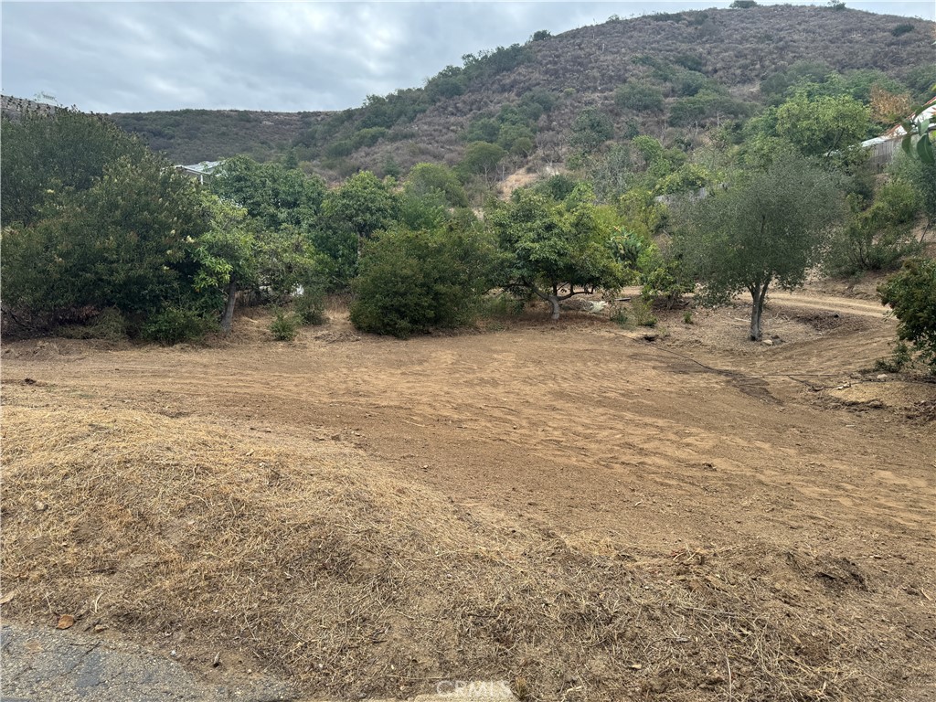 MLS #SW25099905 image #67