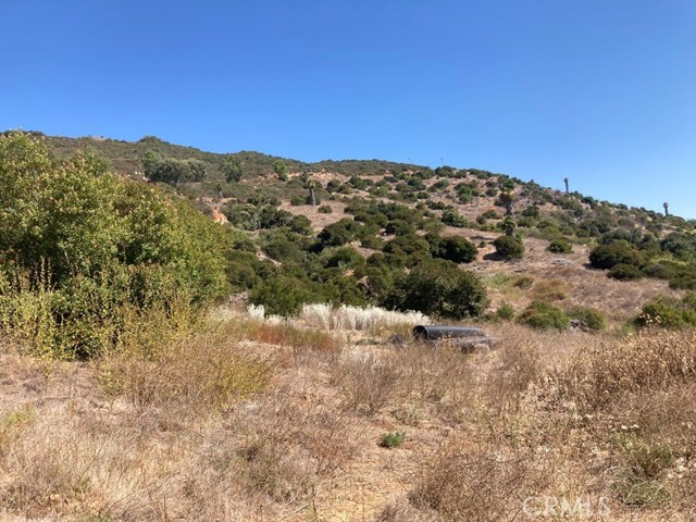 MLS #SW25107196 image #0