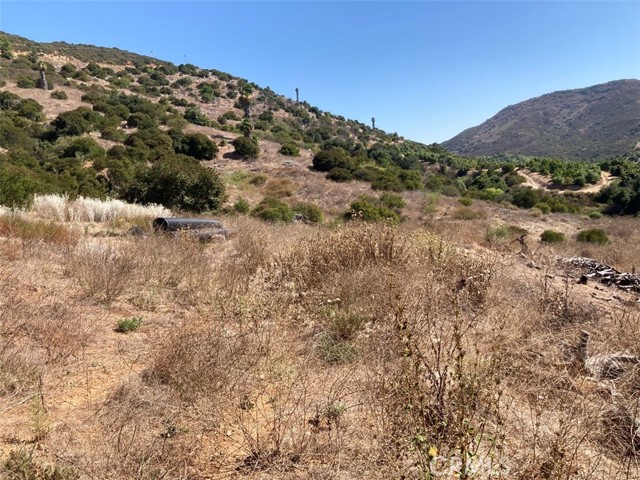 MLS #SW25107196 image #2