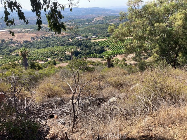 MLS #SW25107196 image #3