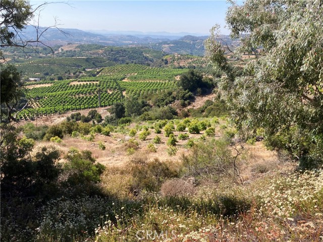 MLS #SW25107196 image #4