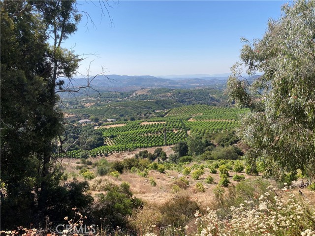 MLS #SW25107196 image #5