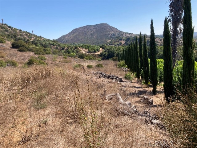 MLS #SW25107196 image #6