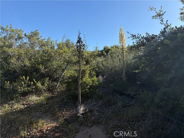 MLS #SW25110188 image #0