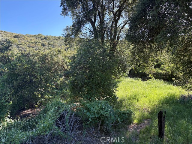 MLS #SW25110188 image #2