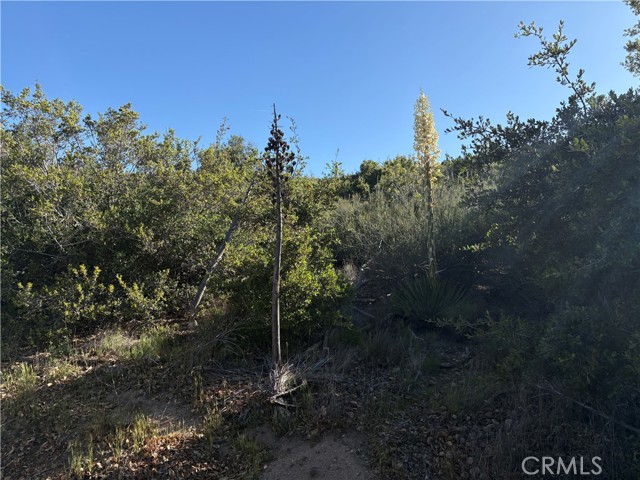 MLS #SW25110189 image #0