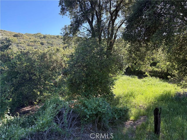 MLS #SW25110189 image #2