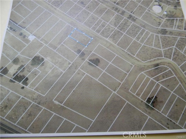 MLS #SW25111180 image #4