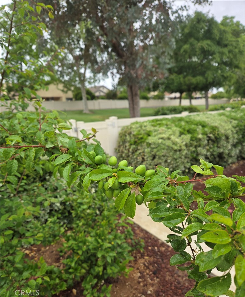 MLS #SW25112090 image #19