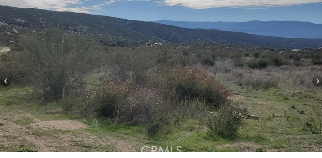 MLS #SW25112339 image #1