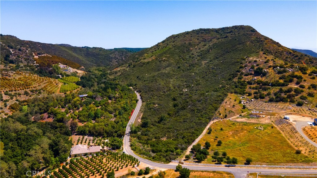 MLS #SW25112991 image #3