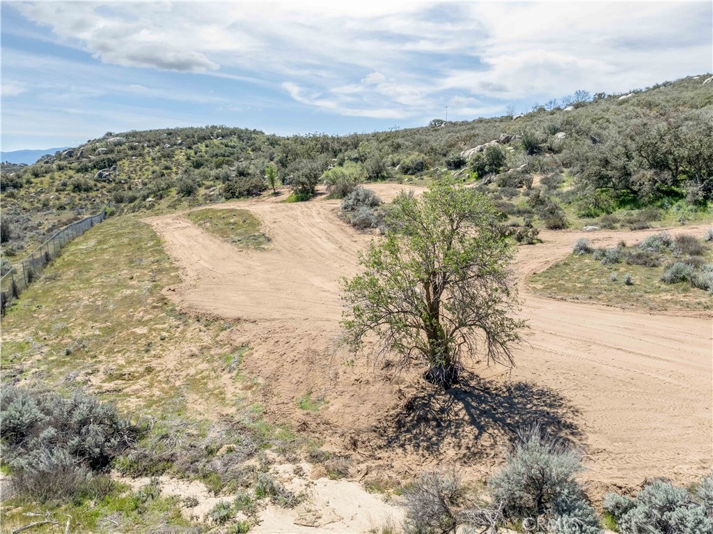 MLS #SW25113476 image #3