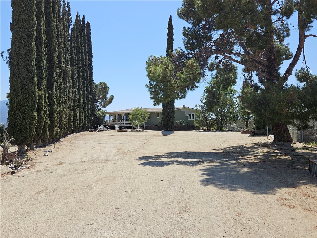 MLS #SW25115637 image #5