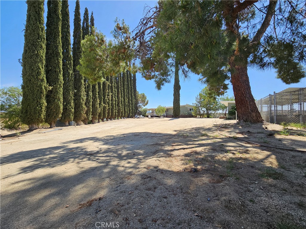 MLS #SW25115637 image #6