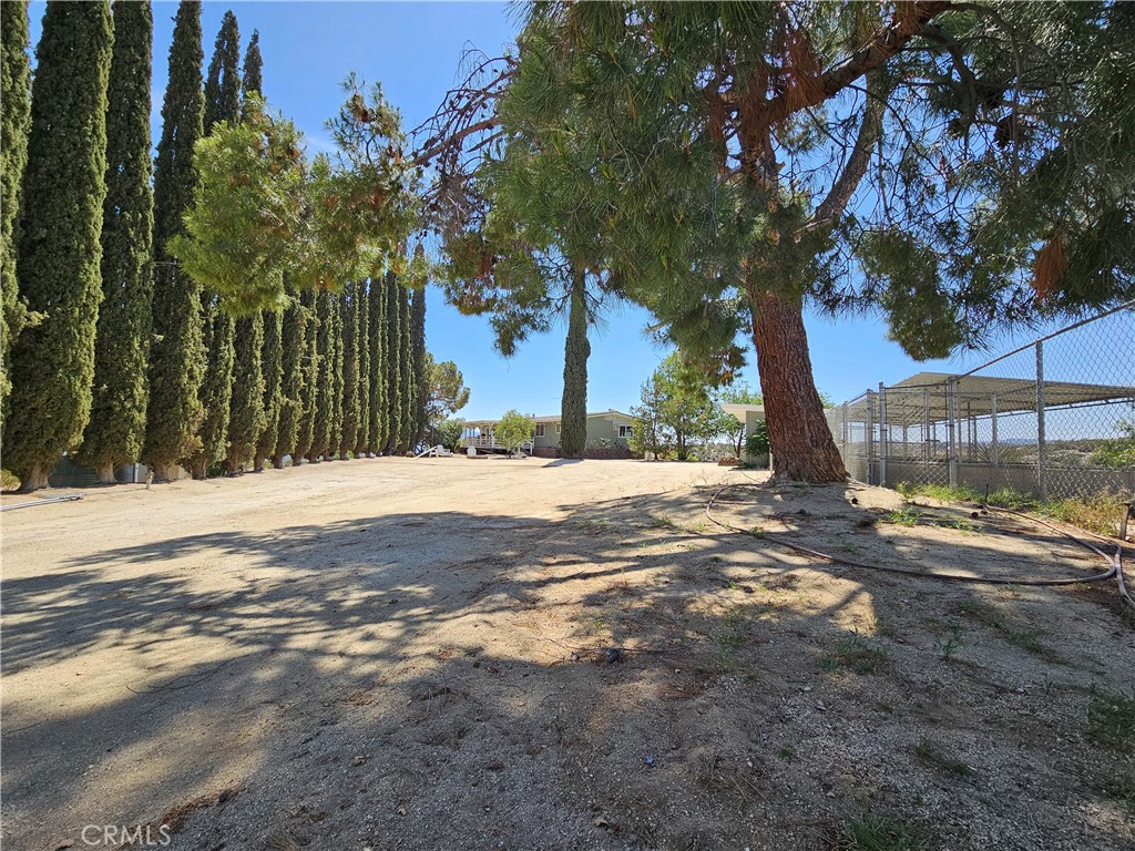 MLS #SW25115637 image #7