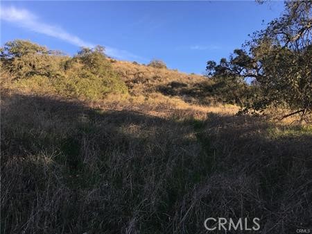 MLS #SW25115841 image #10