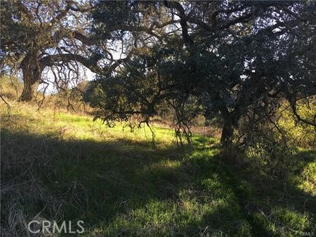 MLS #SW25115841 image #11