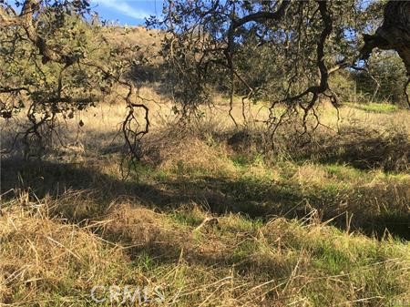 MLS #SW25115841 image #12