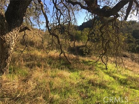 MLS #SW25115841 image #13