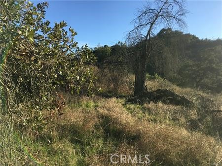 MLS #SW25115841 image #14