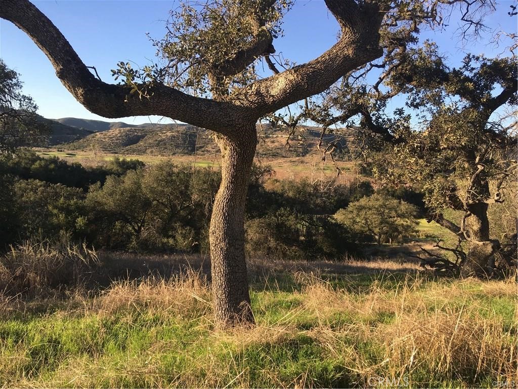 MLS #SW25115841 image #15