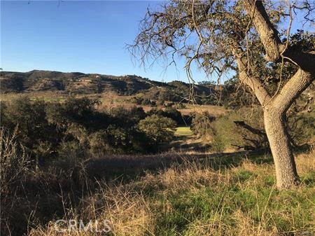 MLS #SW25115841 image #16