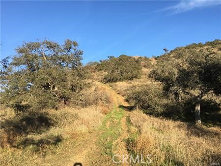 MLS #SW25115841 image #17