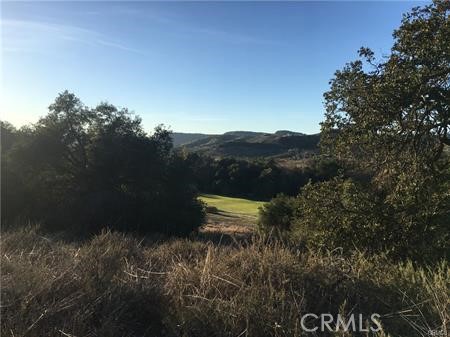 MLS #SW25115841 image #18