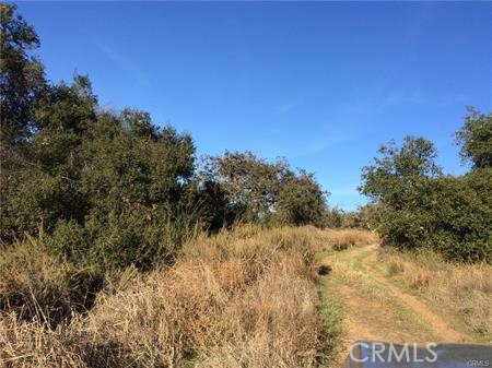 MLS #SW25115841 image #19