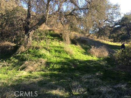 MLS #SW25115841 image #2