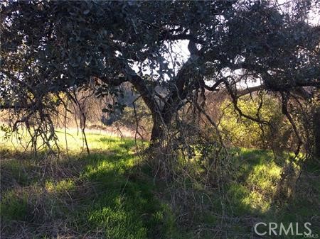 MLS #SW25115841 image #20