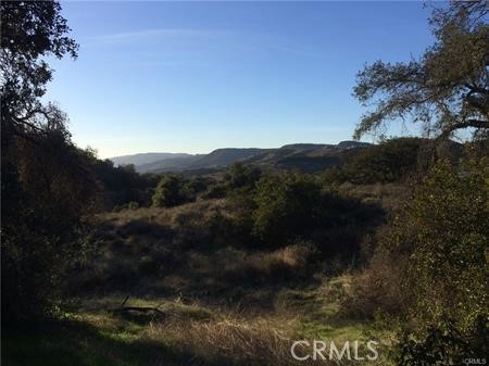 MLS #SW25115841 image #21