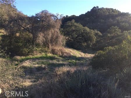 MLS #SW25115841 image #22