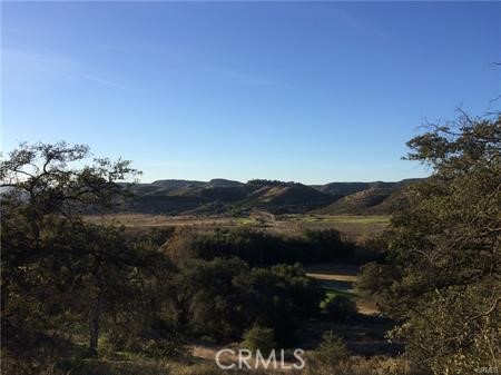 MLS #SW25115841 image #23