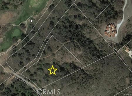 MLS #SW25115841 image #24