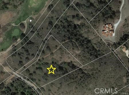 MLS #SW25115841 image #26