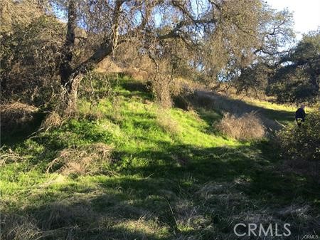 MLS #SW25115841 image #3