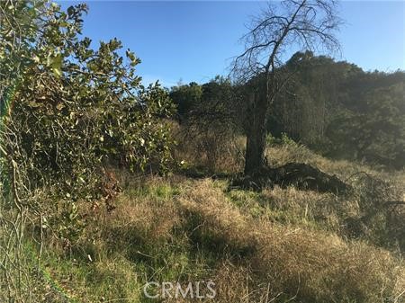 MLS #SW25115841 image #4