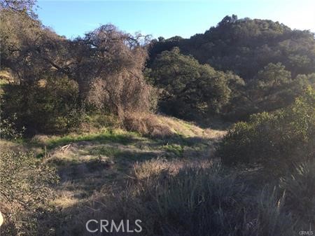 MLS #SW25115841 image #5