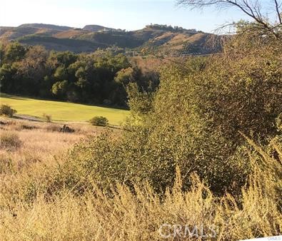 MLS #SW25115841 image #6